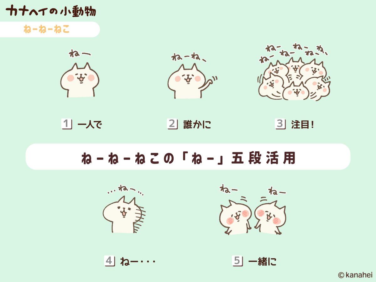 kanahei_animals's tweet image. #ねーねーねこ の「ねー」五段活用📢＜＜
#カナヘイの小動物