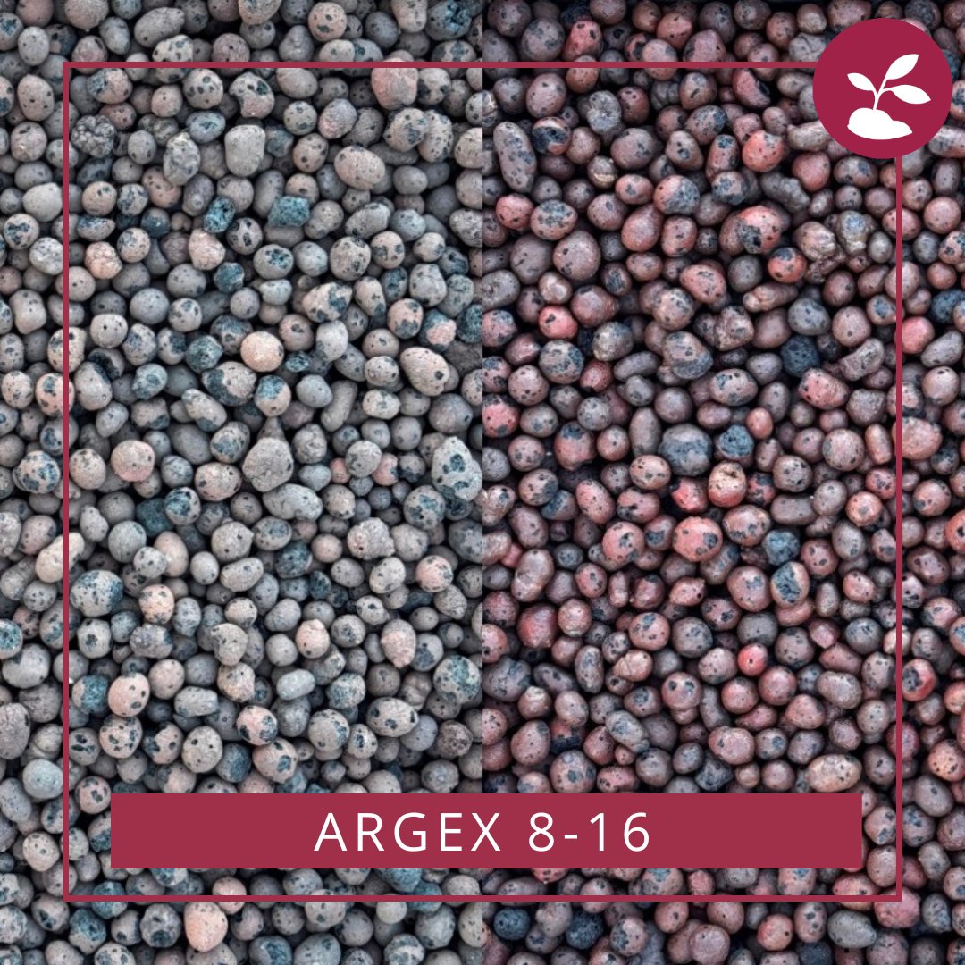 Maak kennis met Argex kleikorrels – dé oplossing voor optimale waterhuishouding, isolatie én stabiliteit. Inzetbaar in daktuinen, infrawerken en zelfs betonproductie!

Met hun sterke en duurzame eigenschappen zijn Argex kleikorrels een slimme keuze voor elk groen- of bouwproject.