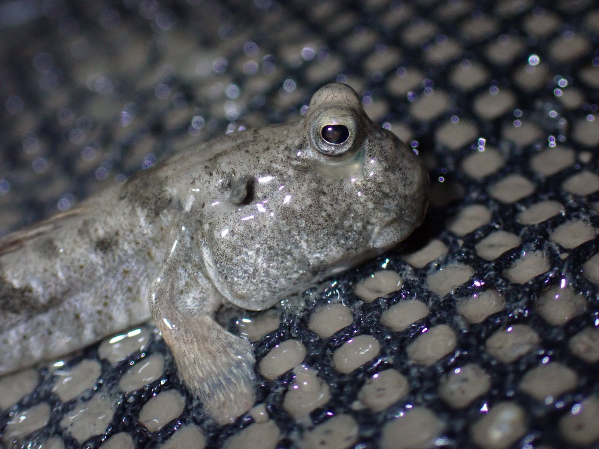 今日ビジュいいじゃん