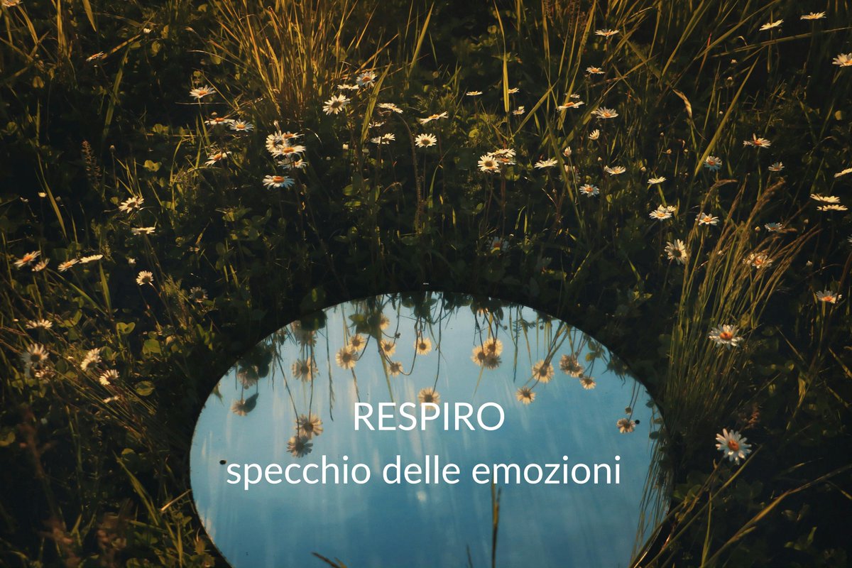 PrimoMichela's tweet photo. Prendersi i pesi degli altri: quando essere disponibili diventa un fardello
Una riflessione sull’arte di sostenere senza spezzarsi

https://t.co/647yCX6dZq
#curadise #amore #aiutare #aiuto #donarsi https://t.co/dlV60MCZRr