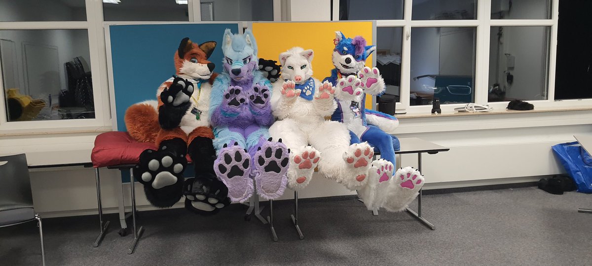 PAWPANEL Furciety 2025