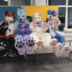 Photo by KAHusky (@KAHusky)