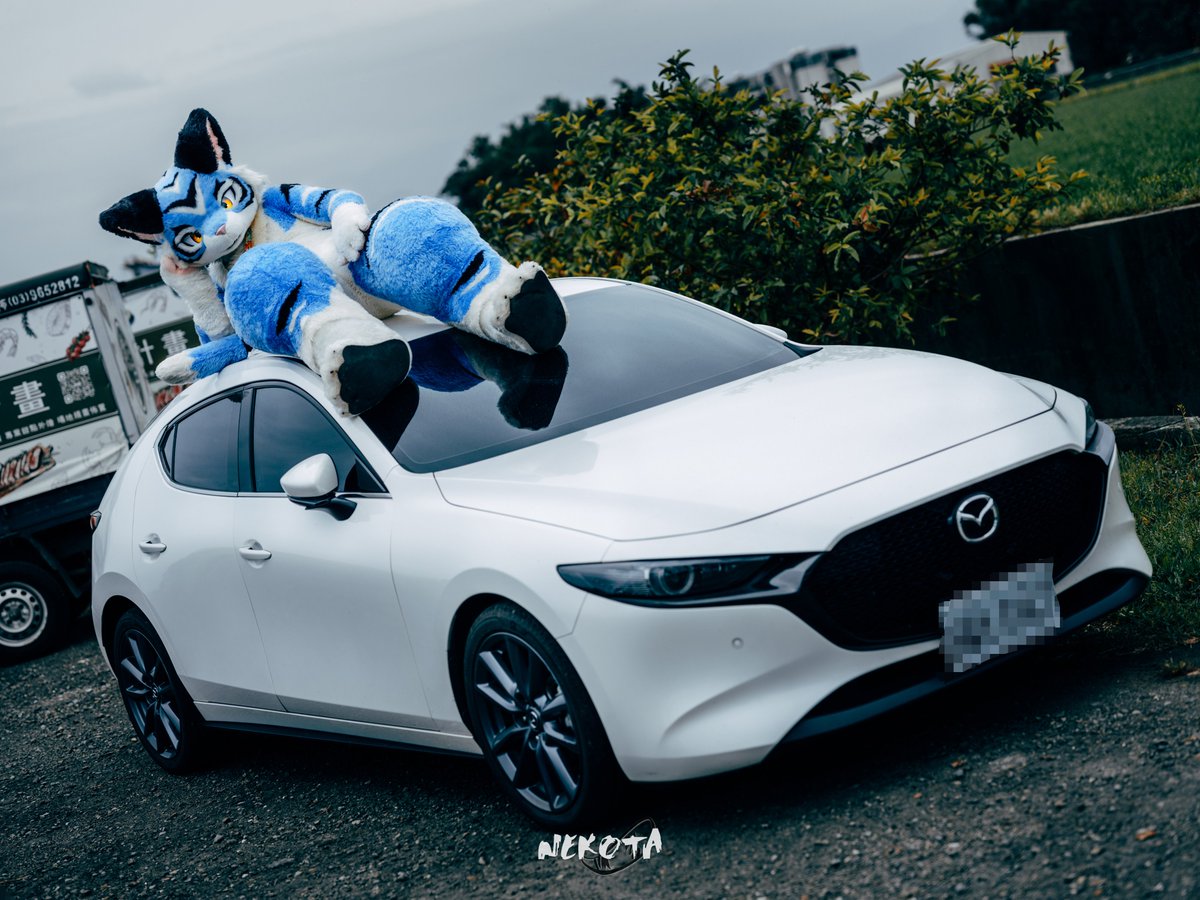 時間不多了上車?，嗯?你說我上錯地方是什麼意思?我覺得這地方不錯呀uwu

📸 <a href="/hinekota/">ネコタ@NEKOTA➡UTFG</a> 

#FursuitFriday