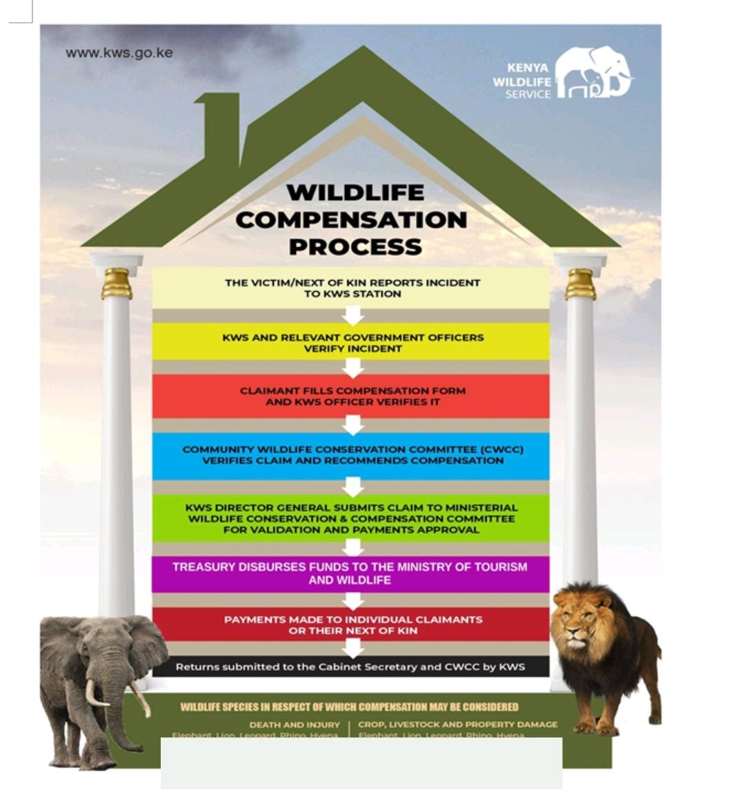 HWC cases can be reported to the nearest KWS offices. This is the procedure in getting your compensation.
#LaikipiaHWCompensation
#compensation4compassion
#Pope
