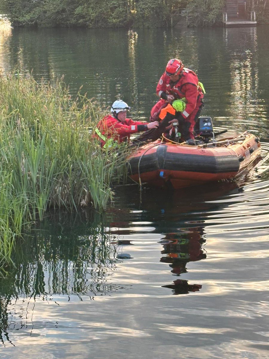 Group Support tweet media