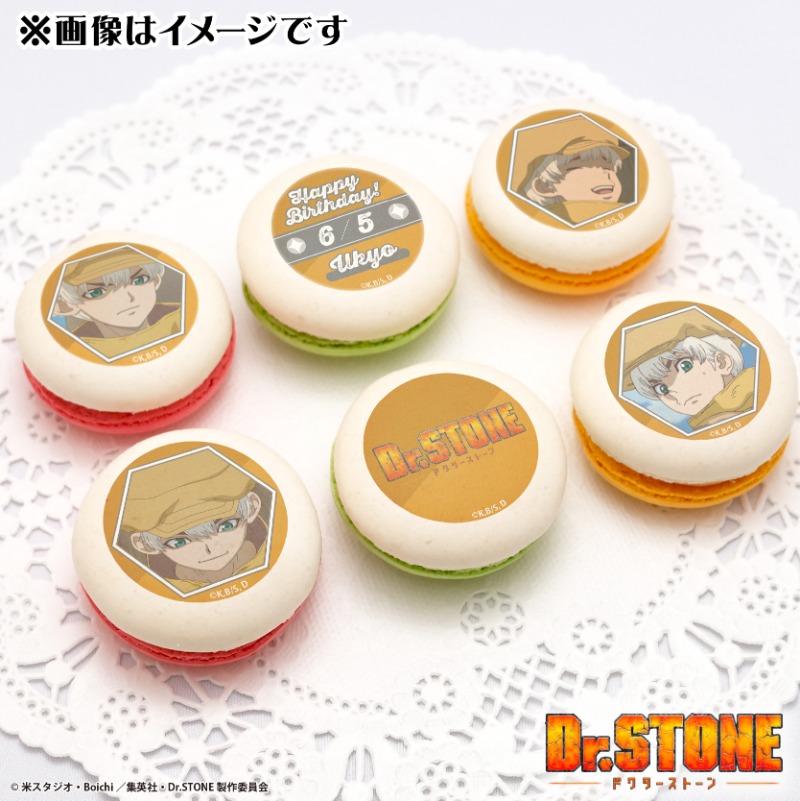 ✨TVアニメ『Dr.STONE』✨ 🎂6月5日は西園寺羽京のお誕生日