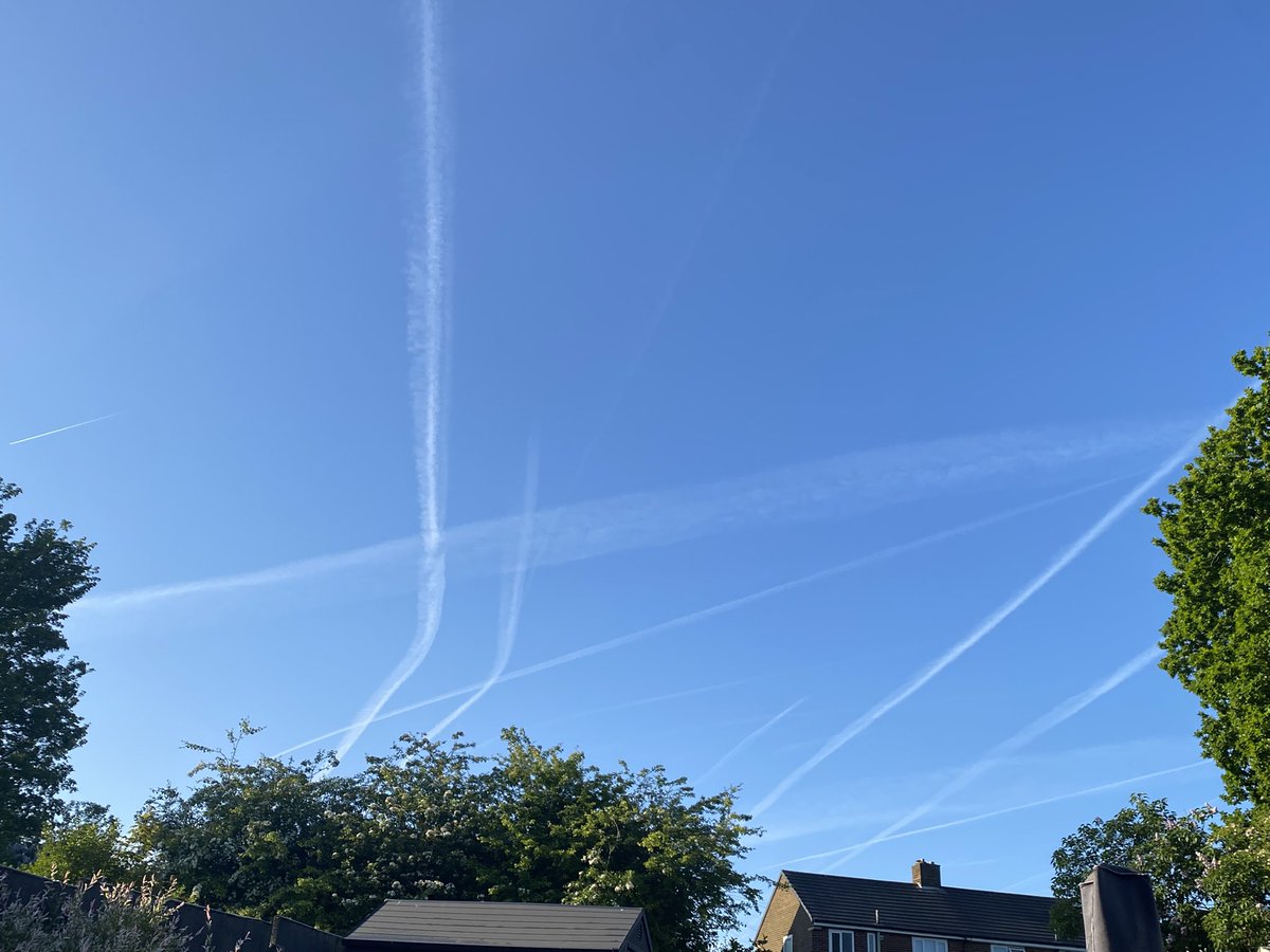 LoopyJohno's tweet photo. Getting bombarded this morning! Sky rats 🤬 https://t.co/ZRodYvbV5Y