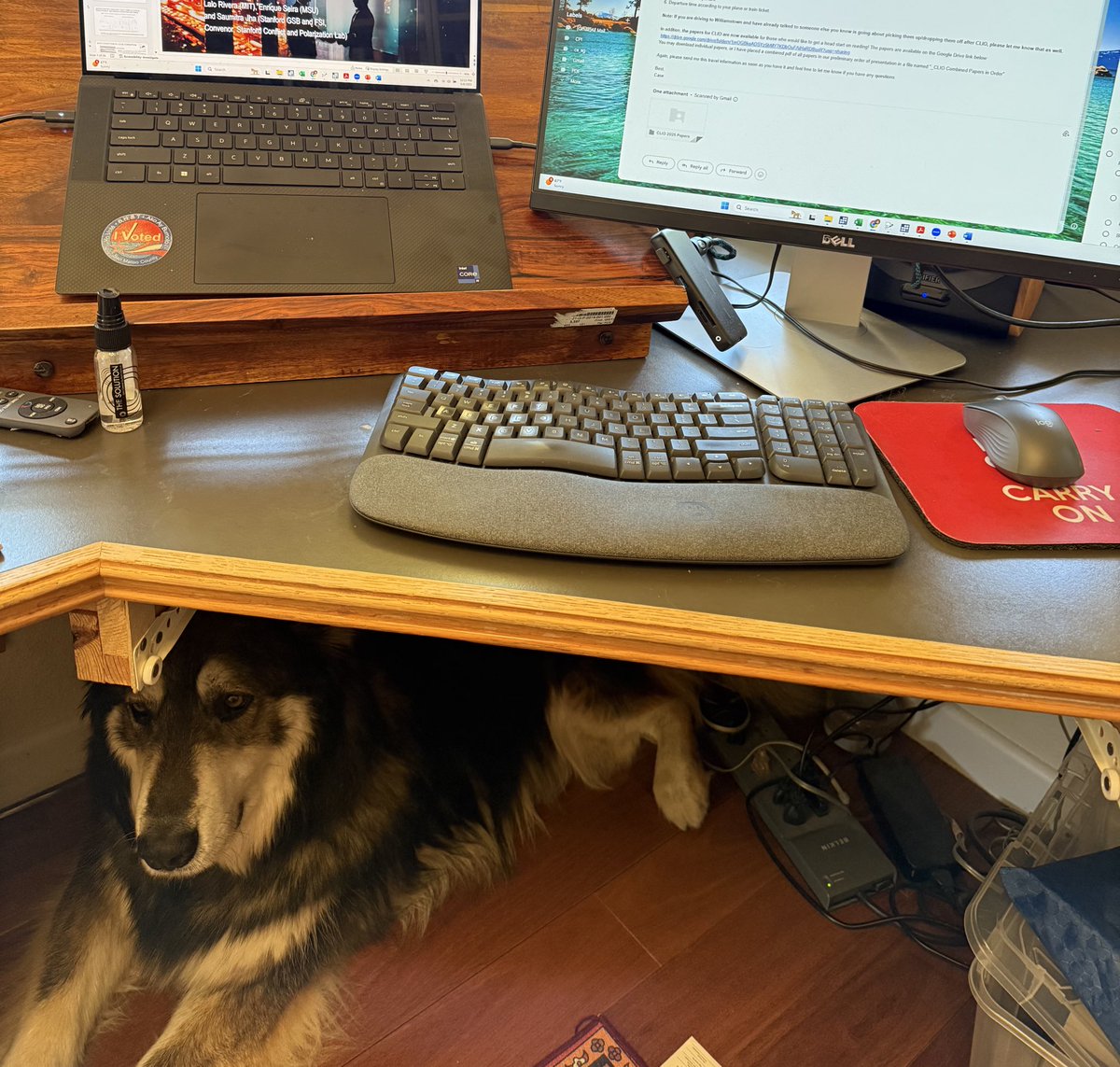 It’s been a really tough day for anyone with family and friends in South Asia as the lights go out and people appear to be preparing for war. Our dog Kaylo seems to have sensed this and established a new kennel spot under my desk. The chances for miscalculation are just too high.
