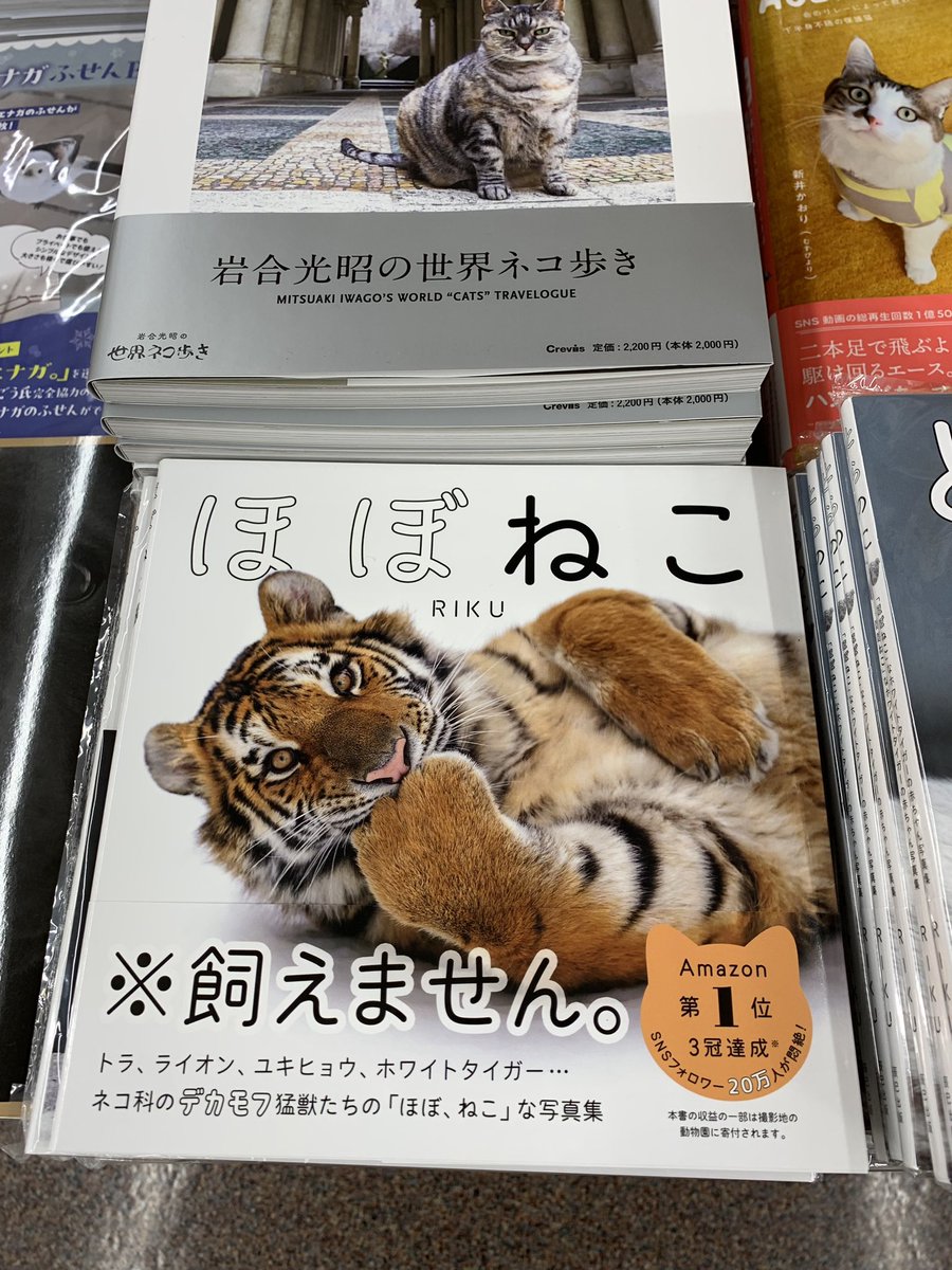 ☆絶版？特典14点付き [土室圭] 徒然日和 全3巻(ネコポス400円値引き) 5階 芸術 B14】 大好評の写真集『ほぼねこ』の第2弾📸 『とらのこ