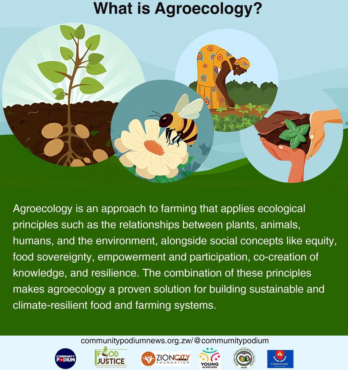 communitypodium's tweet photo. 🌱Feminist Agroecology Model Schools project partners are driving the movement for climate justice by highlighting the power of agroecology in building sustainable and climate-resilient food systems. 

💡But first—what exactly is agroecology?⬇️

#communitydiaries #FAMSInAction https://t.co/RRFTTx79Rd
