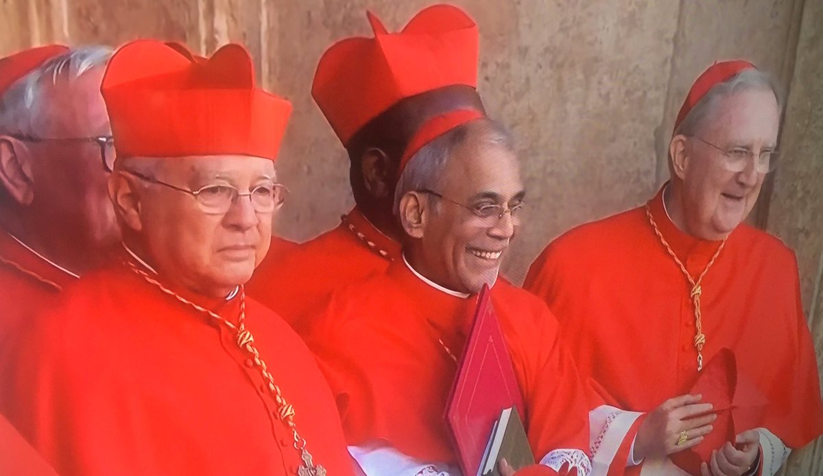 Habemus#papam#LeoneXIV