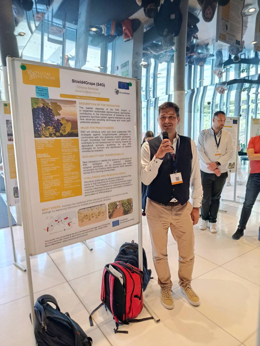 The <a href="/shield4grape/">Shield4grape</a> project was presented at the #EUCAP Network brokerage event in Prague on April 29 &amp; 30 2025! 🍇

Over 190 participants joined, with great discussions on scaling up #sustainableviticulture innovations.
Visit website shield4grape.eu

#grapevineresilience
