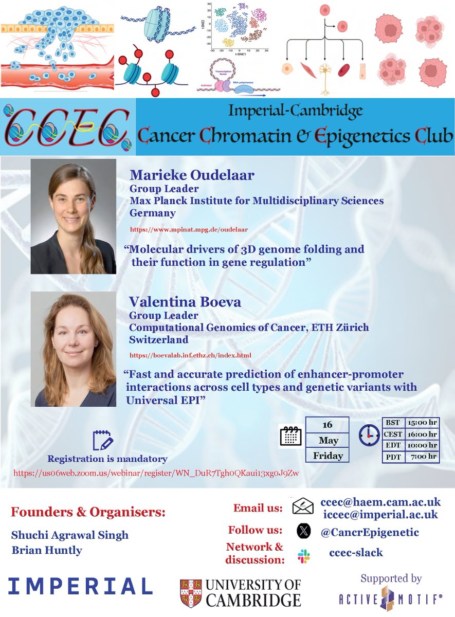 CambridgeCancerEpigeneticClub (@cancrepigenetic) on Twitter photo Time for another exciting dive into 3Dgenome regulation,critical feature in cancer cells.Fri,May16 3PMUK, Let's look from experimental <a href="/MariekeOudelaar/">Marieke Oudelaar</a> to computational approach <a href="/val_boeva/">Valentina Boeva</a> Covering all in 1-session. Link2join us06web.zoom.us/webinar/regist… <a href="/ShuchiChromaBio/">Shuchi Agrawal Singh</a> <a href="/activemotif/">Active Motif</a> Time for another exciting dive into 3Dgenome regulation,critical feature in cancer cells.Fri,May16 3PMUK, Let's look from experimental <a href="/MariekeOudelaar/">Marieke Oudelaar</a> to computational approach <a href="/val_boeva/">Valentina Boeva</a> Covering all in 1-session. Link2join us06web.zoom.us/webinar/regist… <a href="/ShuchiChromaBio/">Shuchi Agrawal Singh</a> <a href="/activemotif/">Active Motif</a>