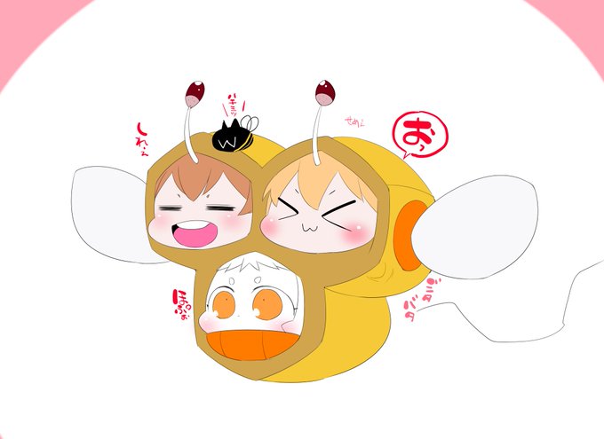 ドングリハニー 