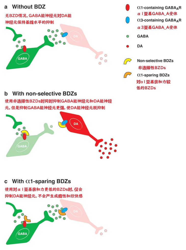 做了两张图，方便大家理解苯二氮卓类药物引起快感和成瘾的生理学基础。字可能有点小，请放大查阅。