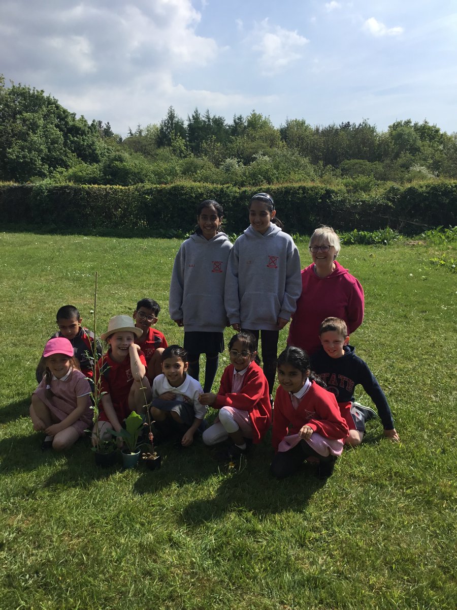 BalderstoneSch1's tweet photo. Thank you to Andy from The Greenhouse Project in Witton Park in Blackburn for the plants for our school grounds. The bees and butterflies will love them!
@Lancswildlife https://t.co/3v1KAlGNB1