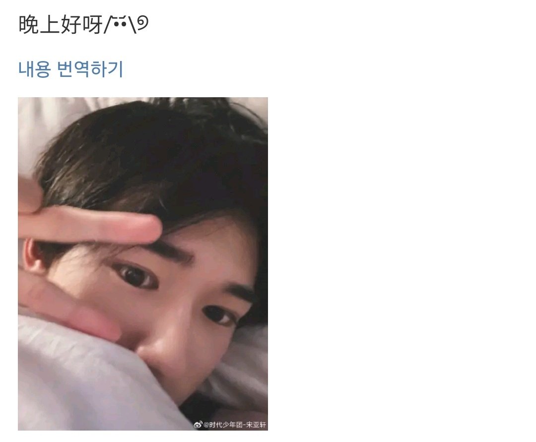 sam__0304's tweet photo. 우와진짜고양이 https://t.co/KDTYN2BbwG