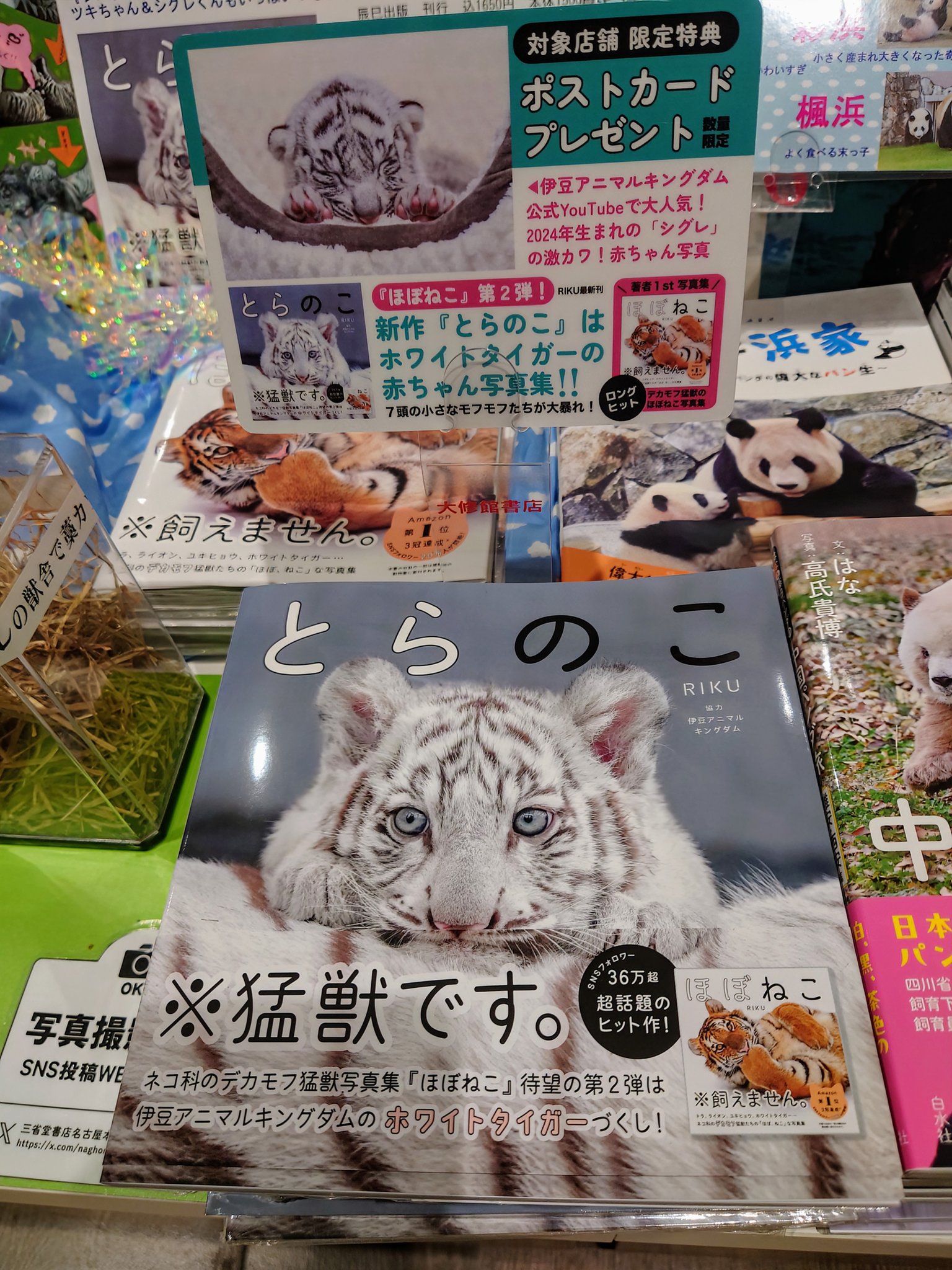 けい　金の虎さん、白蛇さん ◇❖白蛇様と白虎の金運・開運・厄除け御守り❖◇