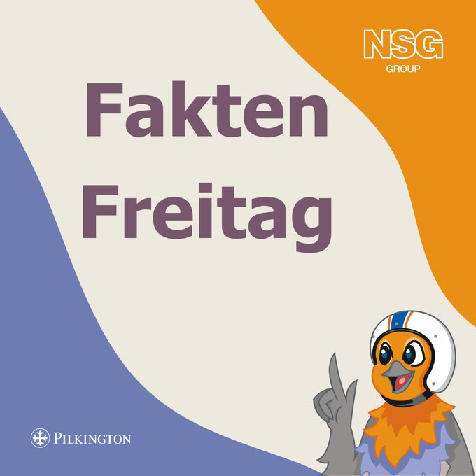 Pilkington_DE's tweet photo. Ich kann Fenster wegen der #Reflexion leider nicht so sehen wie Ihr. Wenn ich wieder mal schnell nach Hause Fliege sehe ich in ihnen meinen ganz normalen Weg, die Umgebung. Dadurch kann mein Heimweg an den Scheiben auch mal sehr schmerzhaft enden.   #Vogelschutz #AviSafe https://t.co/Dqh2zaeCt8