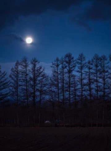 さて、今夜は国分寺で久しぶりの夜のソロライブ、「ヨルハナキ」。

しっとりとまいります。
お待ちしておりますね。

＃猫と庭と音楽と
＃森の音
＃国分寺Pariskidori
＃ソロライブ