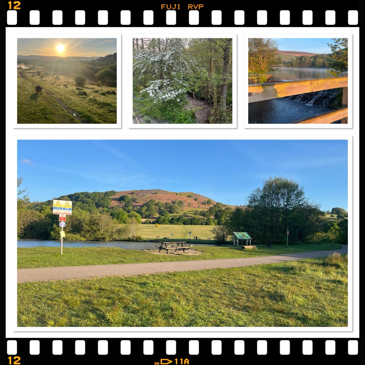 Ann Crimmings tweet media