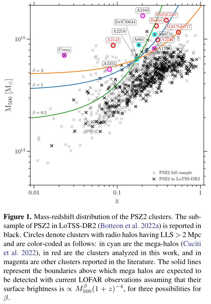 Radial properties of radio halos, by Rajpurohit+ (w/ myself+)
New radio halos with LLS&gt;2 Mpc are reported, even at high-frequency. We measured the surface brightness and spectral properties of the emission, obtaining important results (more below) 
arxiv.org/abs/2505.05415
1/4