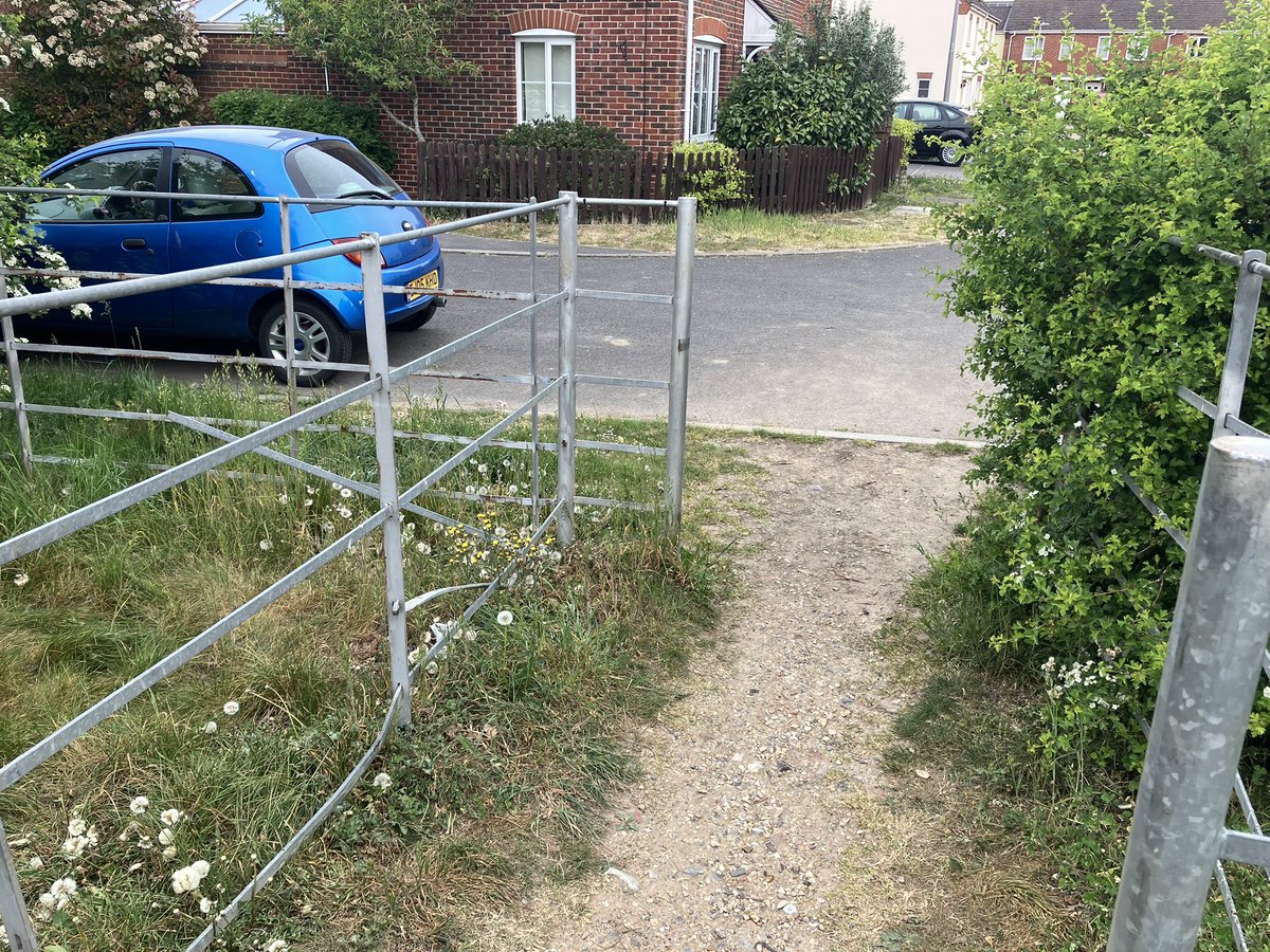 Jon Carroll tweet media