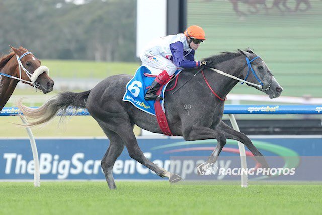 Thoroughbred Solutions Pty Ltd tweet media