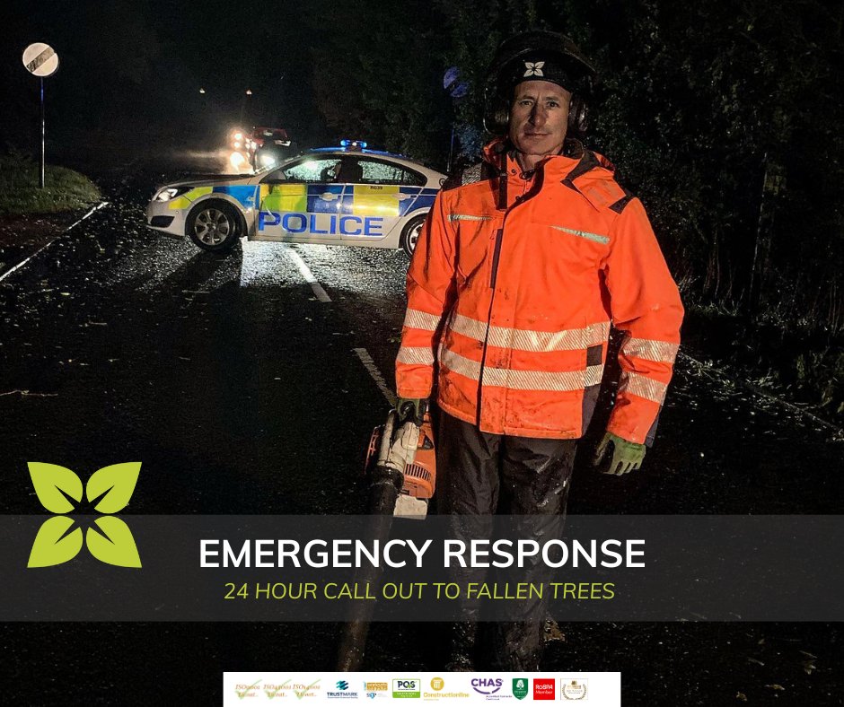 BossBeechwood's tweet image. Emergency tree works don’t wait for convenient timing

We’re honoured to receive feedback like this:

🗣 “The service I received from Simon Rotheram, MD of Beechwood, who took the emergency call and made the site visit was simply excellent.”

#FeedbackFriday #EmergencyTreeWork