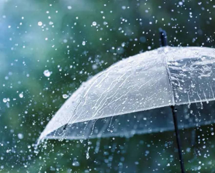 ⭐Fun Fact Friday⭐

You can smell rain!☔🌧️

The scent is called petrichor, created by oils from plants and soil bacteria released into the air when rain hits the ground.

#FunFactFriday #Petrichor #SmellOfRain #NatureFacts #DidYouKnow #RainyDays #ScienceIsCool #FreshRainScent