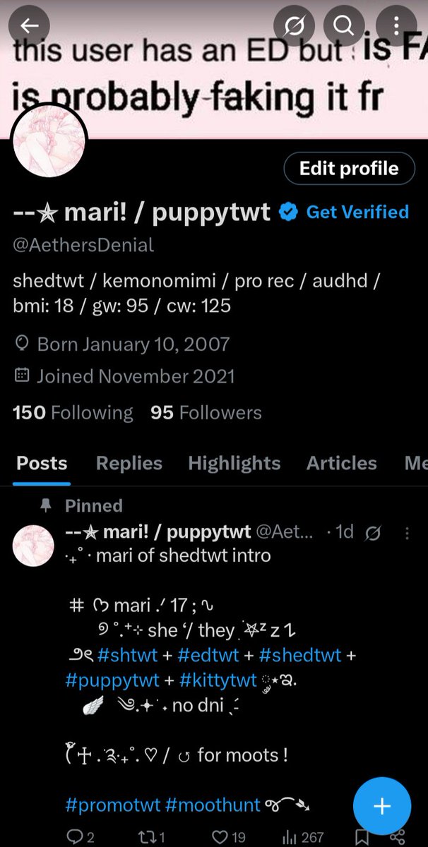 new layout!! #puppytwt #kemonomimitwt #kittytwt #edtwt #shtwt #shedtwt