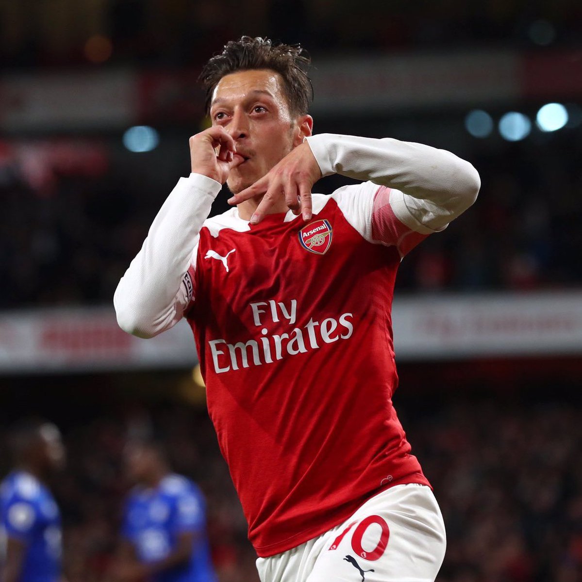 Frane_scix tweet media