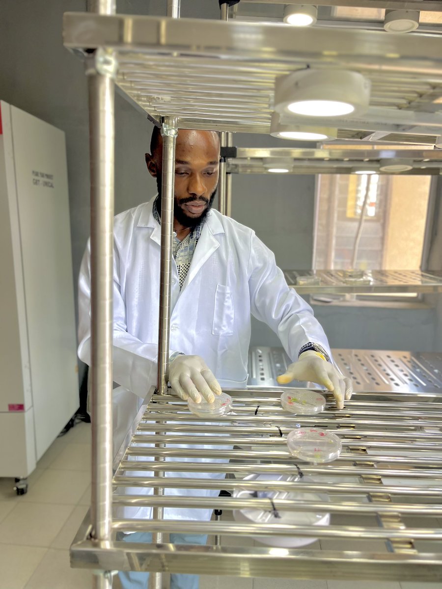 GRISDANIELSng's tweet image. When I’m not being a tailor, this is where you’ll find me 👌👌
Researcher 👨‍🔬 
#researchprogram #research #NigerianIdol