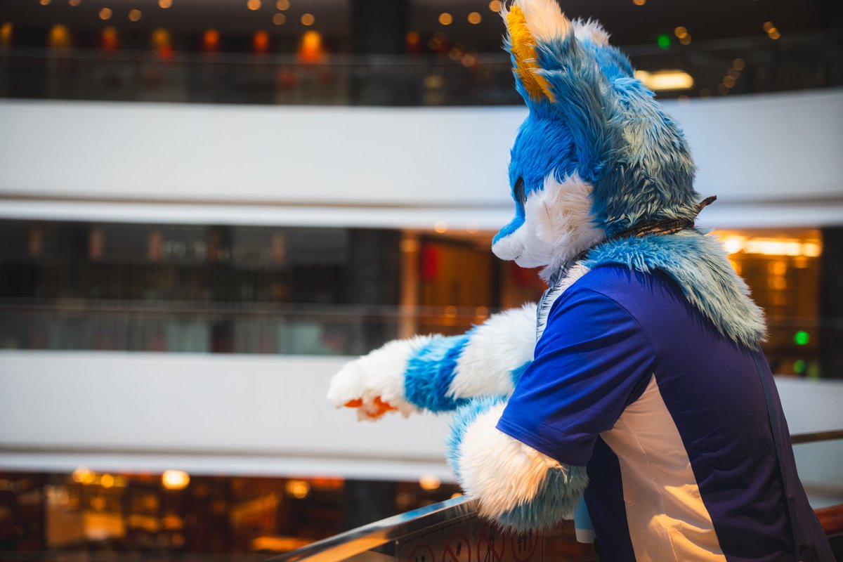 看楼下那群没有皮毛的
好像叫......人类？
#FursuitFriday