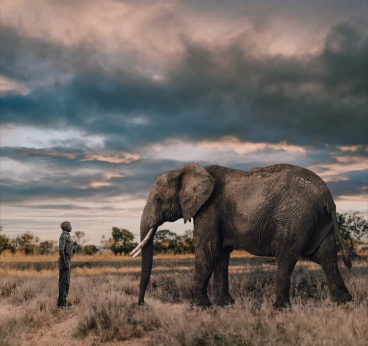 #ThoughtForTheDay 

The world doesn’t need another brand.
It needs a shield.
It needs a resistance.

It needs people like you.

So welcome to the front.

We’re outnumbered.
We’re outfunded.
But we are not afraid.

Because now, you’re with us.

DEFEND
Not a campaign.
Not a