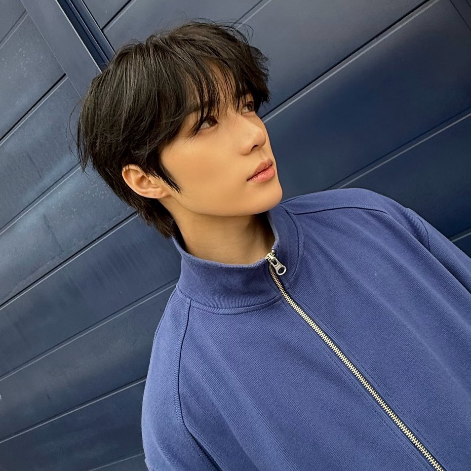 beomgyuhourly's tweet photo. face card so crazy made you stop scrolling https://t.co/oMU724vux5
