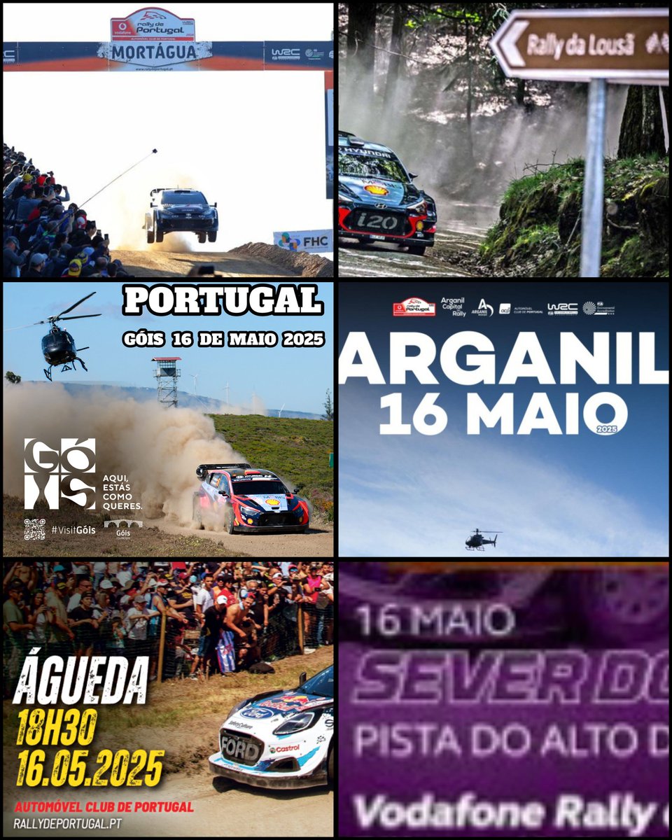 Doidos por Rally tweet media