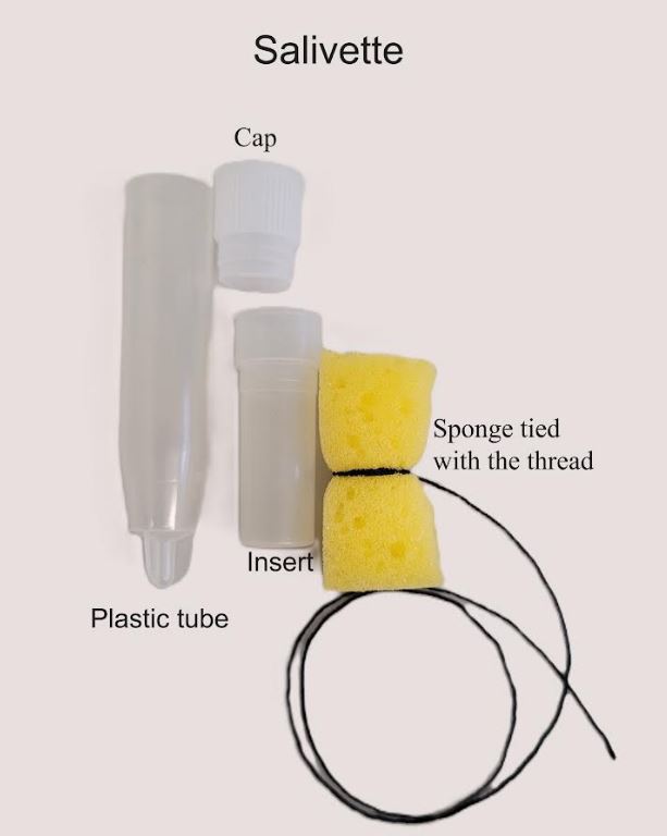 💧 How do we collect saliva from ruminants at <a href="/LSMUniversity/">LSMU (LUHS)</a> ? 🐄

🔹 A cotton roll/sponge is placed between the teeth &amp; cheek for ~1 min.
🔹 A thread allows easy removal &amp; prevents contamination.
🔹 Less stressful than other methods! 🧪

#SalivaScience #EdUSaliva #VetResearch
