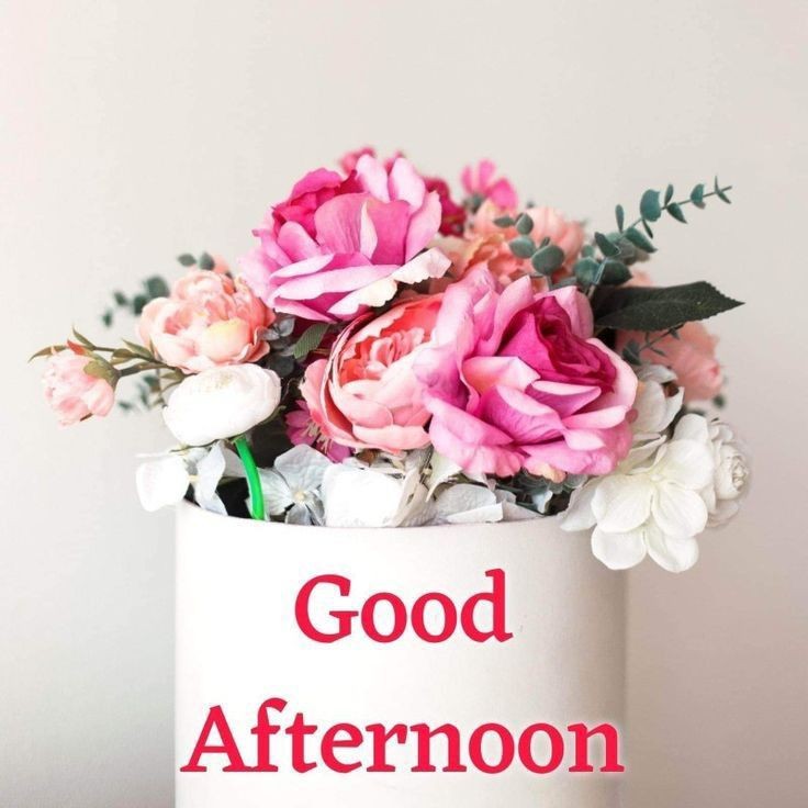 Your mindset is the foundation of everything you build. Strengthen it daily.

Afternoon X guys

CB 💯.
RT 💯