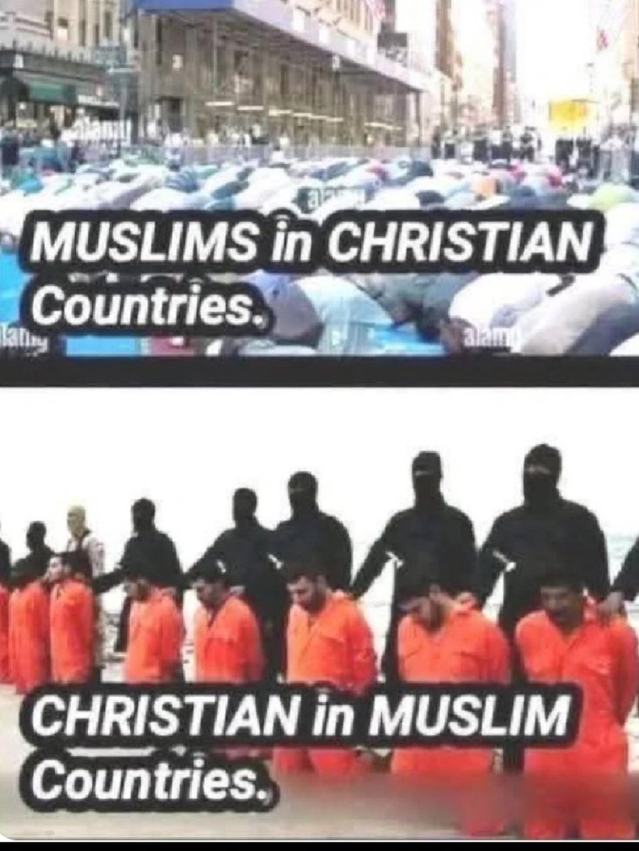 Wij discrimineren? Emigreer maar naar een Moslim land. Dan weet je wat discriminatie is.
#Goedemorgen #paus #utrecht #amsterdam