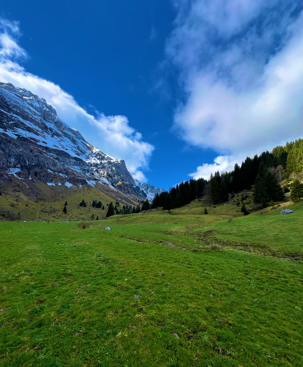 Good morning fellows!

No regrets doesn’t mean no mistakes.

It means owning your path,
and learning from every step.

Have a great day!