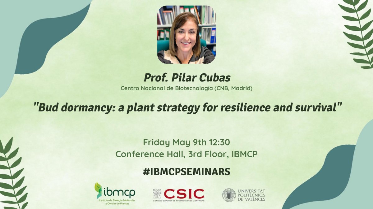 SEE YOU AT 12:30!
📍 Conference Hall, 3rd Floor, IBMCP
🔬 Bud dormancy: a plant strategy for resilience and survival
🗣️ Prof. Pilar Cubas
#IBMCPSEMINARS