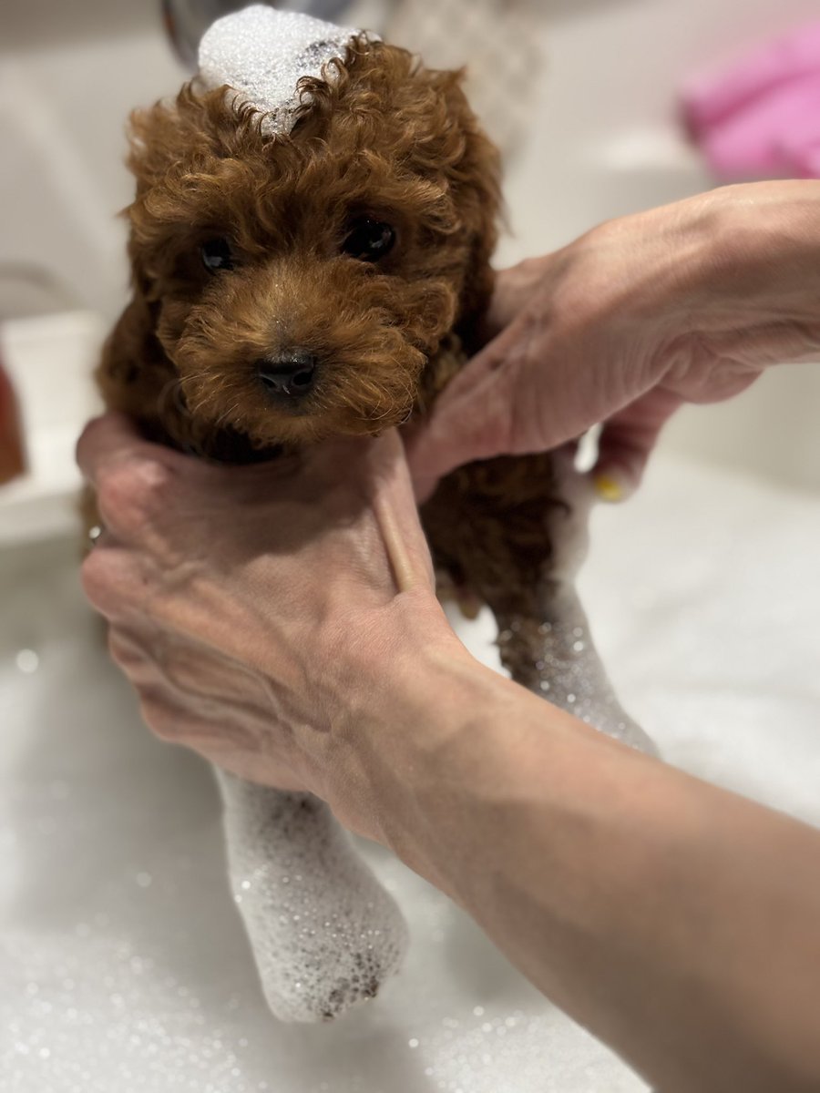 TikTokも宜しくです🐕

tiktok.com/@kainusi1