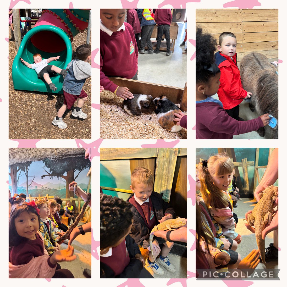 MissSouthMLP tweet media