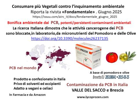 NataliPier's tweet photo. #contaminazioneambientale #antiossidantinaturali #pomodoro #Policlorobifenili https://t.co/iugUyEIz4o
