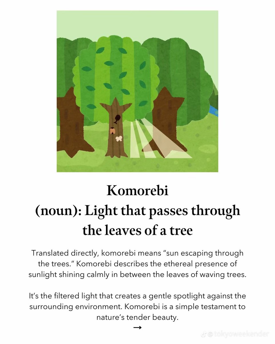 Yuri ♡ 🇵🇸 (@yurikomorebi) on Twitter photo 