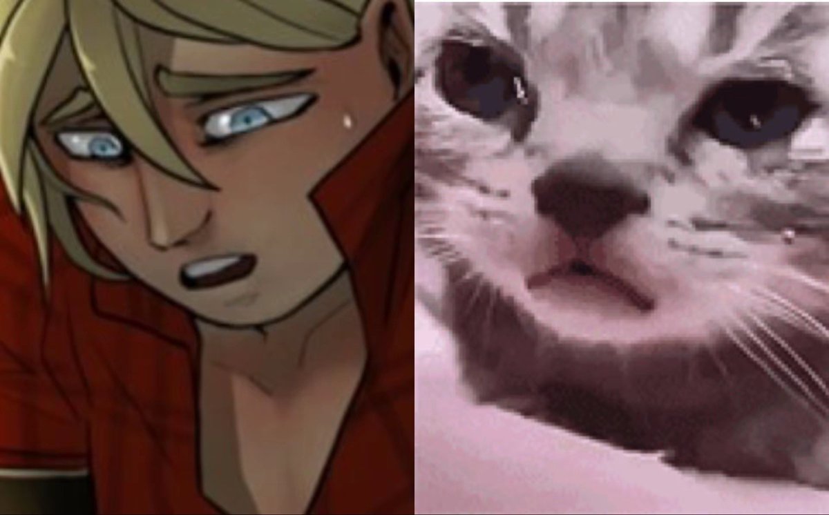 bool💤 tweet media