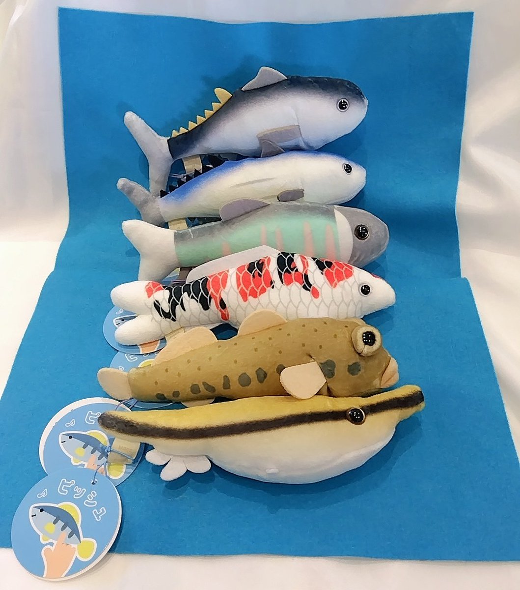 marinepiaheart's tweet image. 🐠新商品のご紹介🐠
お腹を押すと音が鳴る♪
「ピッシュ」のご紹介✨
ハゼやヘコアユ、オイカワなど!
マリンピア日本海で会えるお魚も
たくさんいます🐟
探してみて下さい☺️
5月ということで
鯉のぼりも作ってみました🎏
#マリンピア日本海
#音のなる玩具