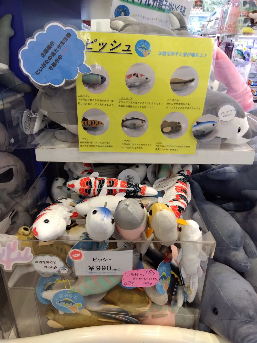 marinepiaheart's tweet image. 🐠新商品のご紹介🐠
お腹を押すと音が鳴る♪
「ピッシュ」のご紹介✨
ハゼやヘコアユ、オイカワなど!
マリンピア日本海で会えるお魚も
たくさんいます🐟
探してみて下さい☺️
5月ということで
鯉のぼりも作ってみました🎏
#マリンピア日本海
#音のなる玩具