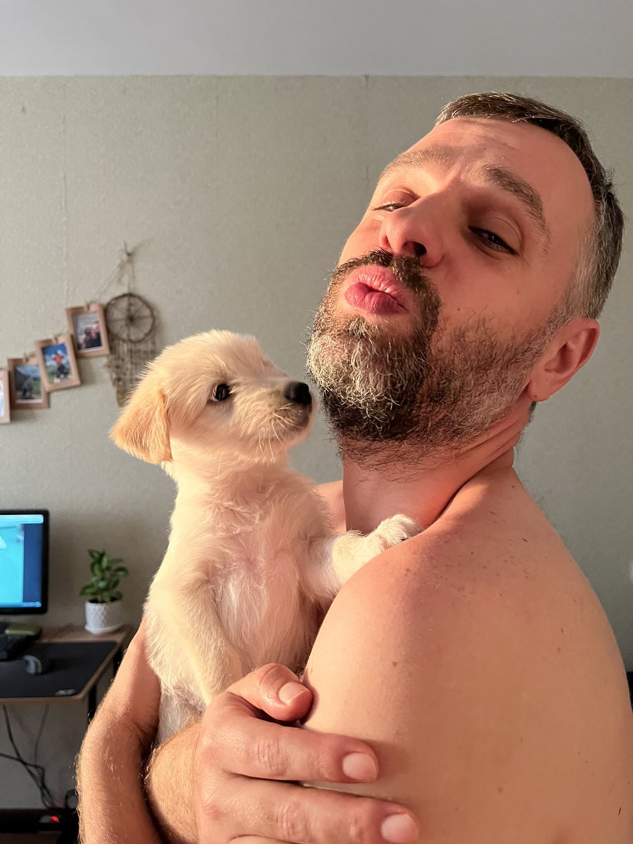 энемесса tweet media
